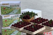 择日大全高速赋能产业升级：一条“杨梅路”的致富密码